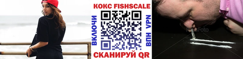 Cocaine Fish Scale как найти наркотики Богданович