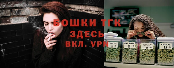 mdma Богородицк