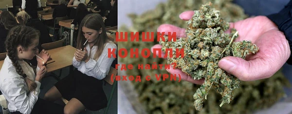 амфетамин Белокуриха