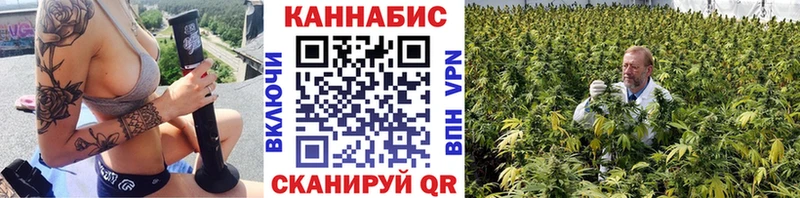 Бошки Шишки MAZAR  Богданович 